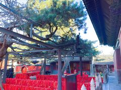 -红螺寺