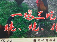 -君华饭店·腊排铜火锅