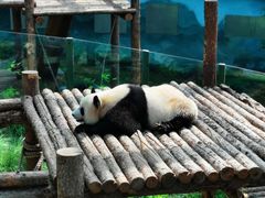 -大连森林动物园