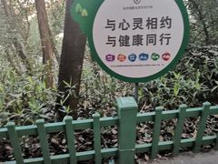 -金鸡山公园