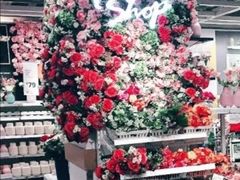 -宜家家居(哈尔滨商场店)