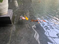 -天津海河悦榕庄·Lobby Lounge大堂吧