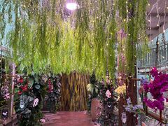-正佳雨林生态植物园