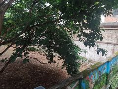 -大理床单厂艺术区