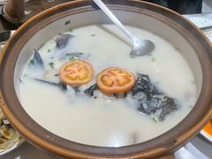 -全乐鱼馆·淳牌有机鱼直营店