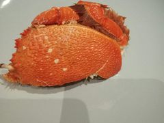 -美盛喜来登大酒店-盛宴标帜餐厅