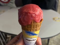-哈根达斯(滨江店)
