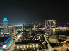 -新加坡瑞士史丹福酒店