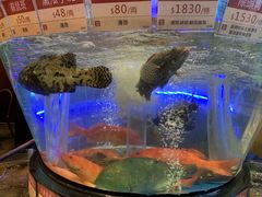 -陶陶居海鲜酒家(新马路店)