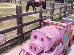 -田园东方蜜桃村的田野营地