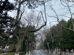 -青岛第一海水浴场