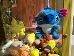 -兴芮温泉度假区