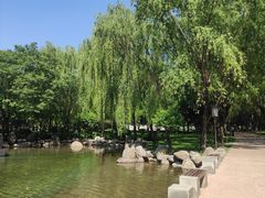 -唐城墙遗址公园