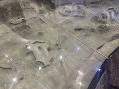-大庆市博物馆