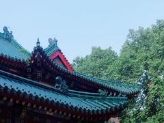 -灵谷景区