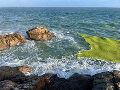 -小麦岛公园