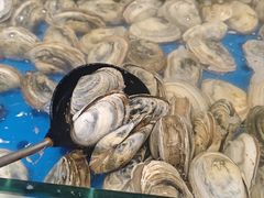 -川骄海鲜自助(河东店)