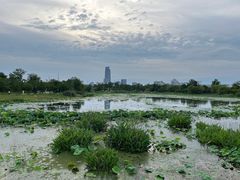 -澹台湖公园