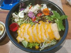 -雀舞云南菜(乐客城店)