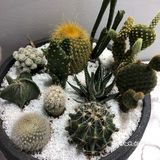 无意中看见这家店，清新淡雅