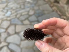 -九龙潭景区