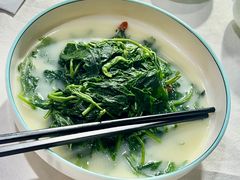汤桑叶苗-五谷芳乳鸽王(梅沙老店)