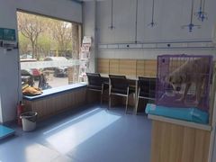 -泰康动物医院·猫科中心·外科中心(塘沽店)