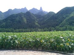 -雾灵西峰