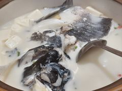 -全乐鱼馆·淳牌有机鱼直营店