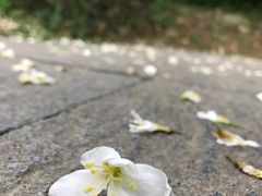 -福道
