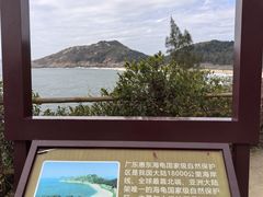 -广东惠东海龟国家级自然保护区