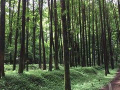 -波尔登森林公园