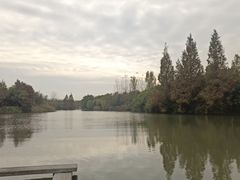 -白塔湖国家湿地公园