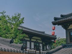 -大唐贡茶院