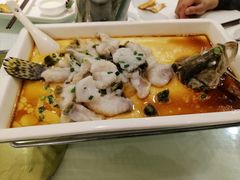 豆花鱼-金时代顺风大酒店(协泰店)