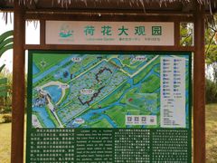 -泗洪洪泽湖湿地景区