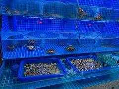 -上亿烧烤海鲜大咖(承德路店)