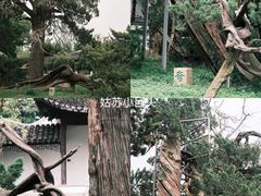-司徒庙