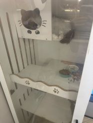 -隅日式美甲美睫專門店