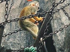 -鄂尔多斯野生动物园