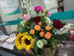 -上海市中医医院(芷江路院区)