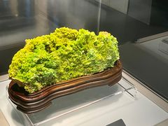 -安徽省地质博物馆