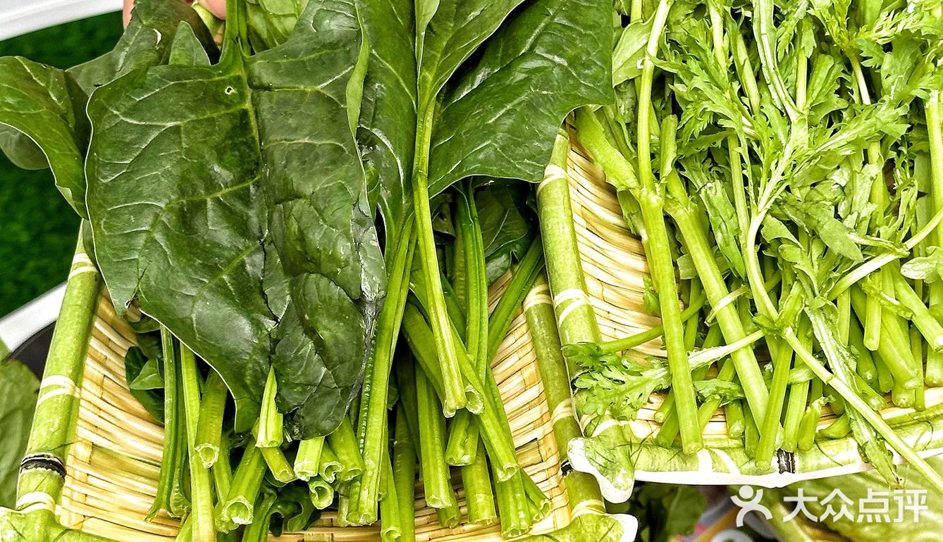 能俯瞰北京路的这家泰菜‼️不来你就糊涂了