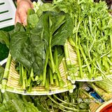 能俯瞰北京路的这家泰菜‼️不来你就糊涂了