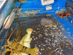 -盒马鲜生(顺义店)