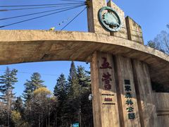 -五营国家森林公园