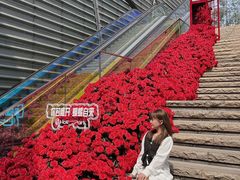 -万科生活广场(东莞松山湖店)