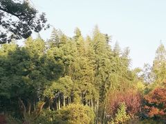 -汇龙潭