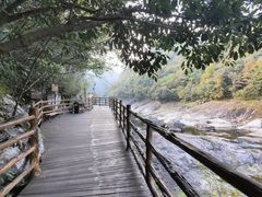 -燕子河大峡谷天坑仙境