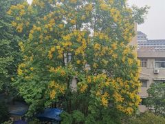 -浙江大学(玉泉校区)